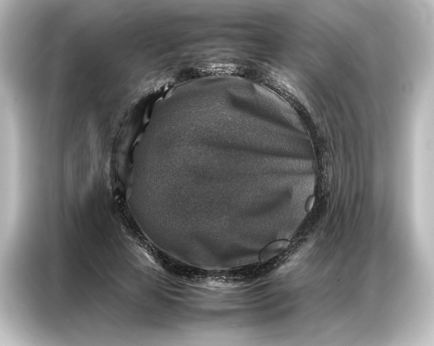 X0000087050641200705021157