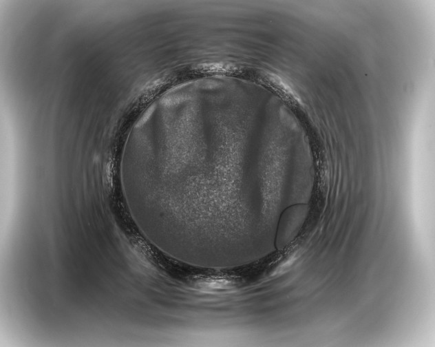 X0000087050643200705021157