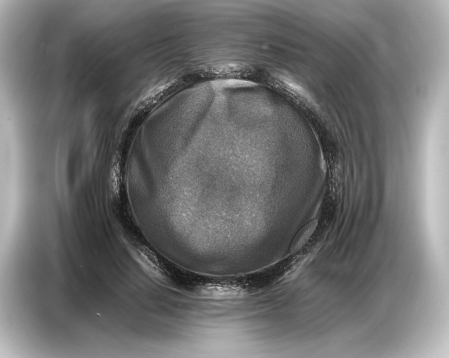 X0000087050644200705021157