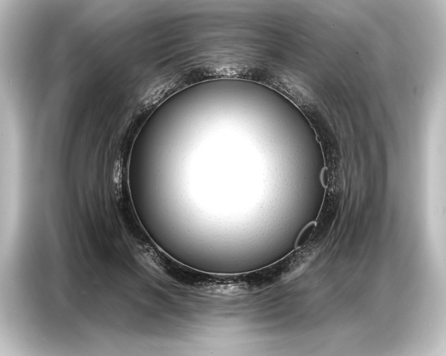 X0000087050646200705021157