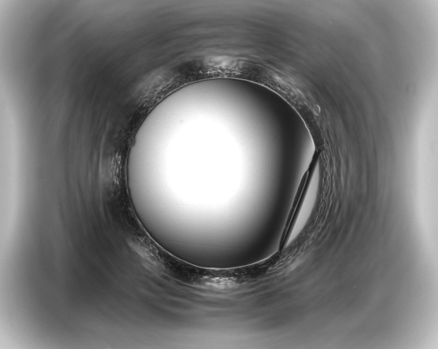 X0000087050649200705021157