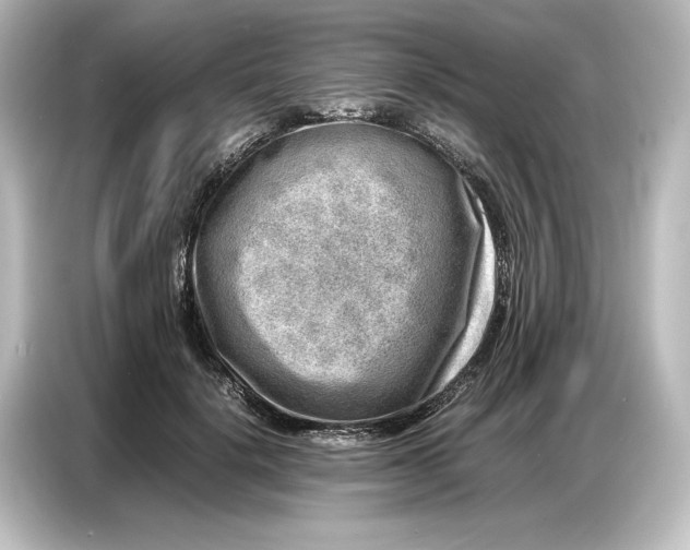 X0000087050652200705021157