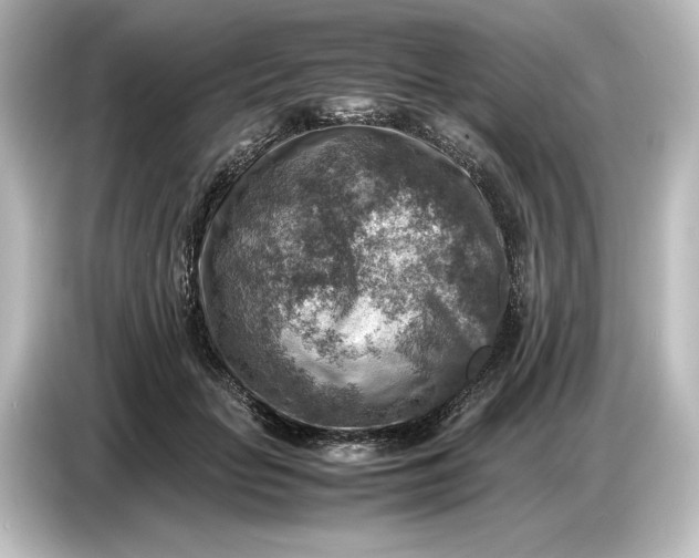 X0000087050653200705021157