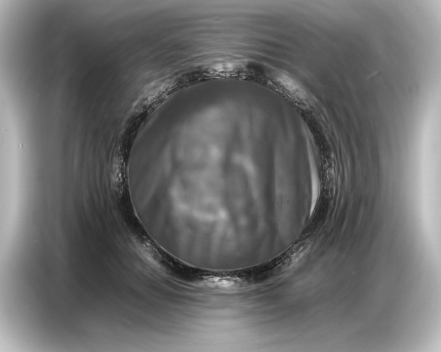 X0000087050654200705021157