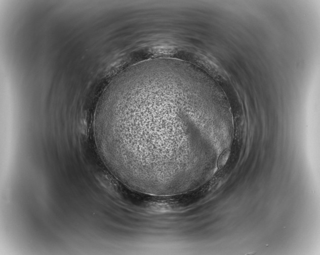 X0000087050655200705021157