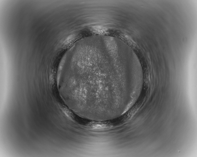 X0000087050658200705021157