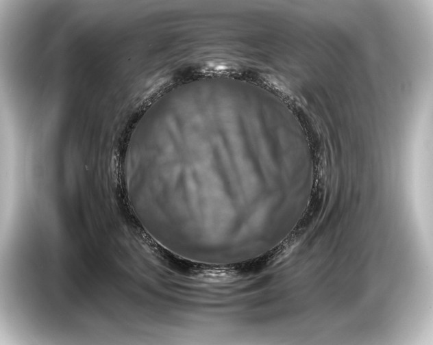 X0000087050659200705021157