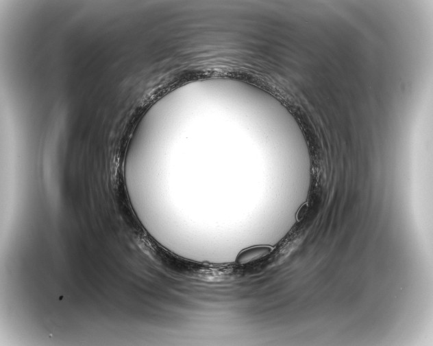 X0000087050660200705021157