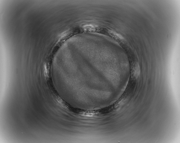 X0000087050661200705021157