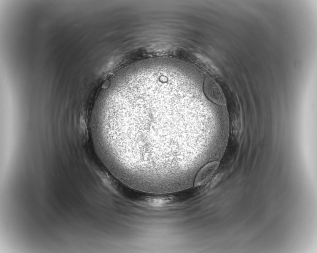 X0000087050662200705021157