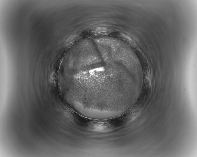 X0000087050663200705021157