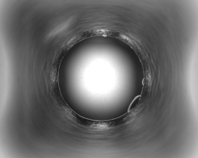 X0000087050665200705021157