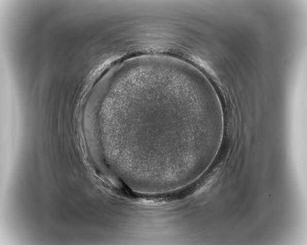 X0000087050673200705021157