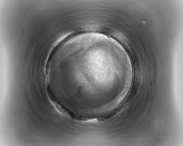 X0000087050674200705021157