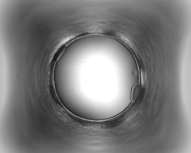 X0000087050675200705021157