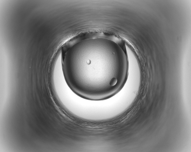 X0000087050677200705021157