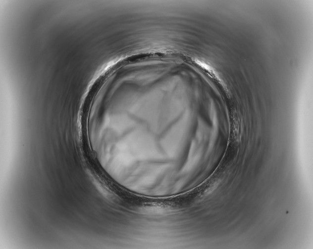 X0000087050678200705021157