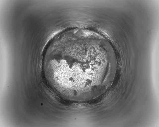 X0000087050679200705021157