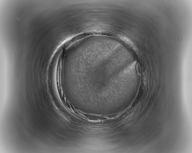 X0000087050680200705021157