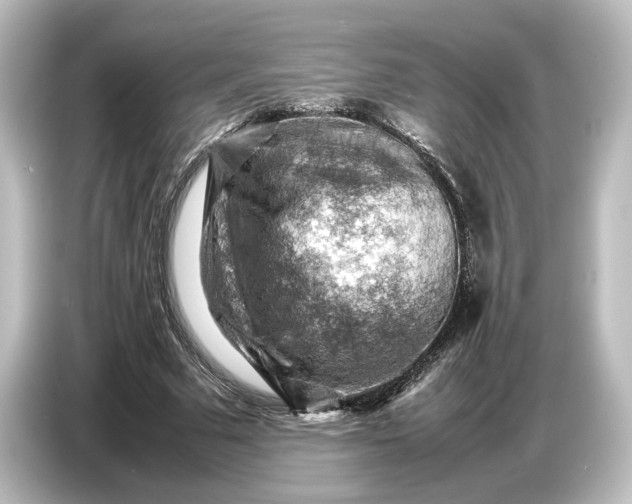 X0000087050681200705021157