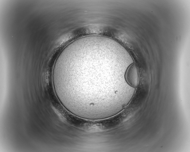 X0000087050683200705021157