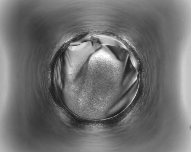 X0000087050685200705021157