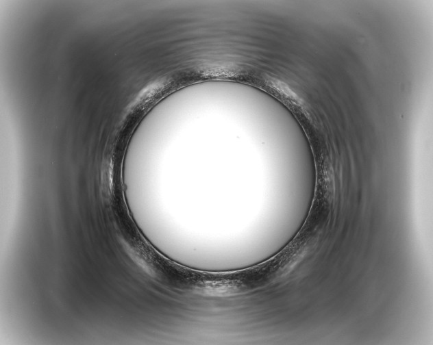 X0000087050686200705021157