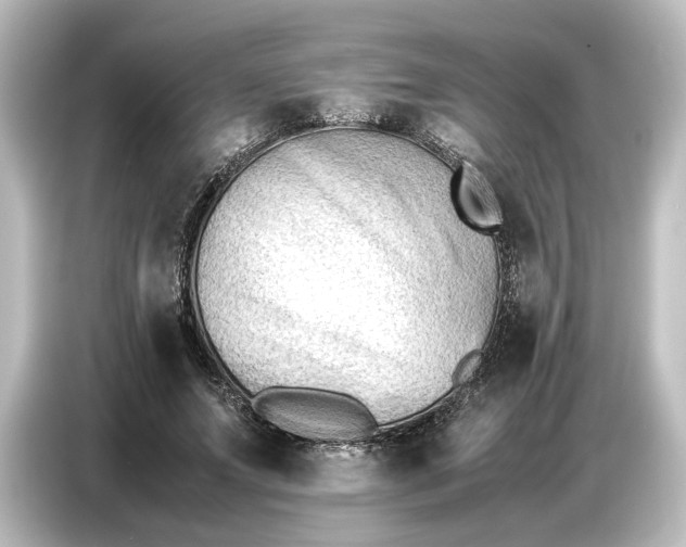 X0000087050687200705021157