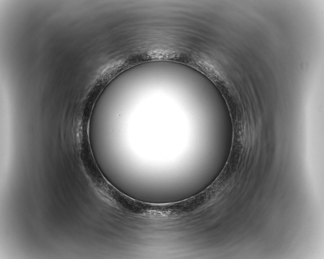 X0000087050690200705021157