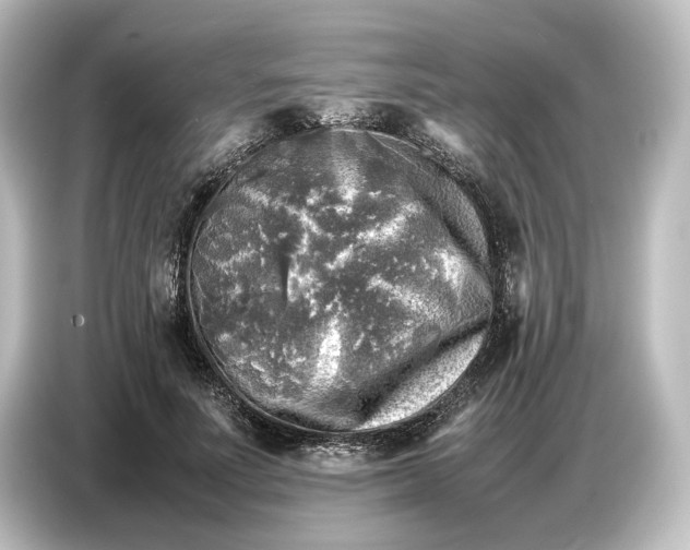 X0000087050691200705021157