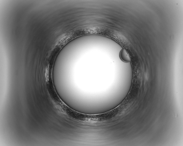 X0000087050694200705021157