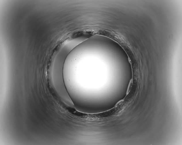 X0000087050697200705021157