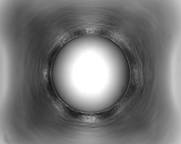 X0000087050698200705021157