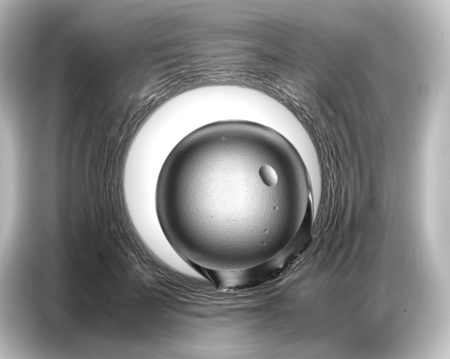 X0000087050699200705021157