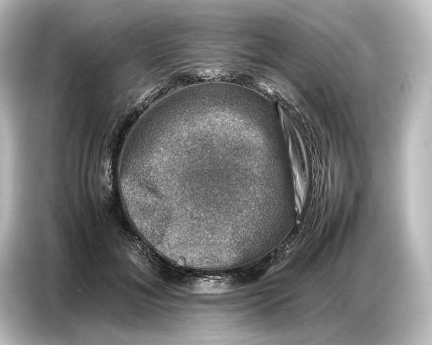 X0000087050700200705021157