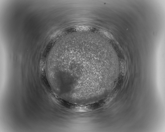 X0000087050701200705021157