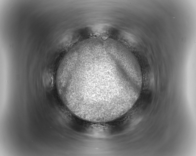 X0000087050703200705021157