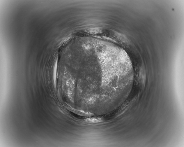 X0000087050704200705021157