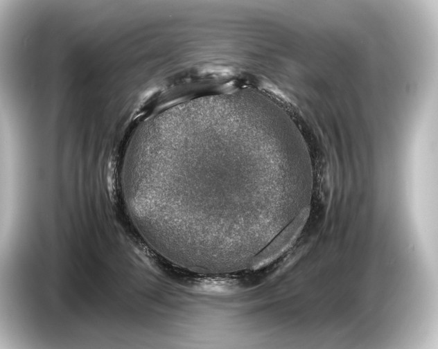 X0000087050708200705021156