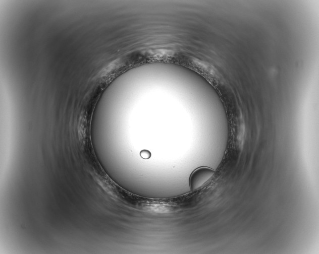 X0000087050710200705021156