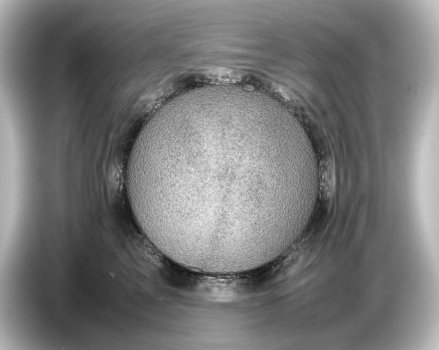 X0000087050713200705021156