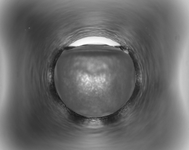 X0000087050715200705021156