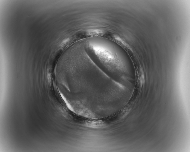 X0000087050716200705021156