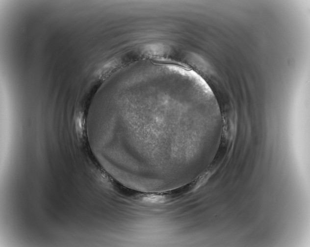 X0000087050718200705021156