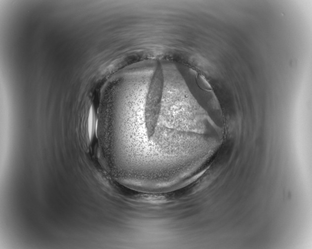 X0000087050719200705021156