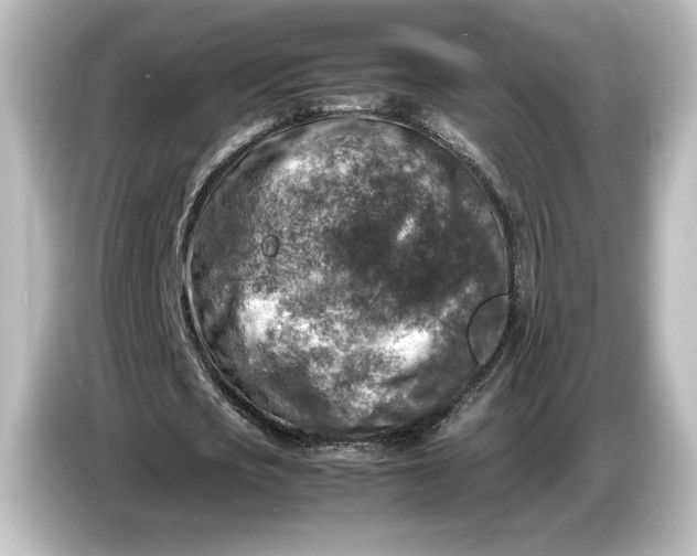 X0000087050721200705021156