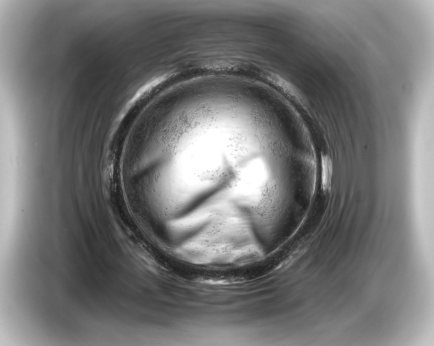 X0000087050723200705021156