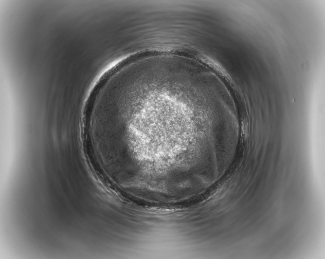 X0000087050724200705021156