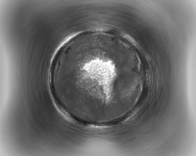 X0000087050726200705021156