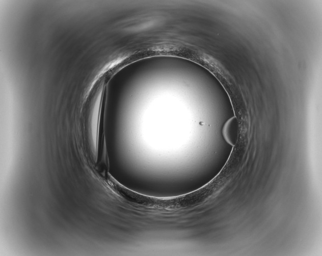 X0000087050727200705021156